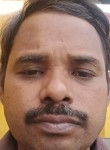 Rajesh Kumar, 31 год, Delhi