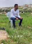Ayman, 31 год, יפו