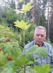 владимир, 86 лет, Курск