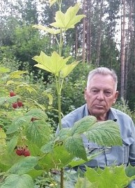 владимир, 86, Россия, Курск