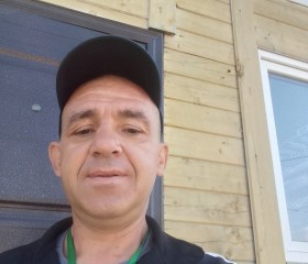 Алексей, 43 года, Киров (Кировская обл.)