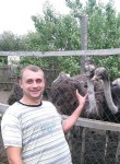 Анатолий, 36 лет, Лисичанськ