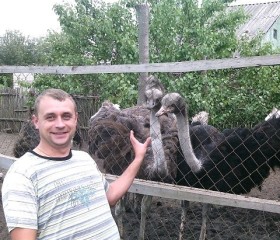 Анатолий, 36 лет, Лисичанськ