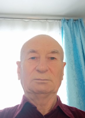 Анатолий Гранкин, 73, Россия, Бийск