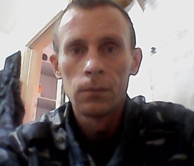 Владимир, 43 года, Тюмень