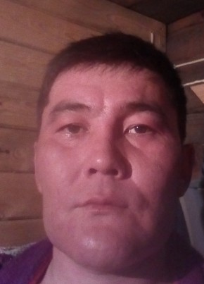 Михаил, 40, Россия, Новосибирск