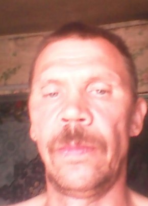 nicola, 53, Россия, Боровичи