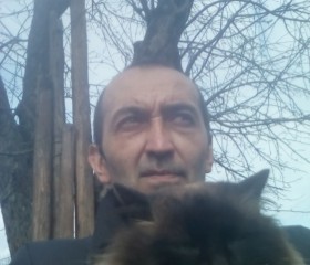 Roman, 45 лет, Полтава