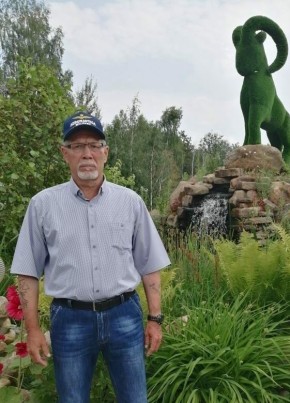 Valeriy, 66, Russia, Lyudinovo