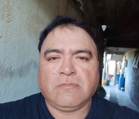 Alejandro, 43, Puebla (Puebla)