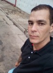 Daniel, 33 года, São Bernardo do Campo