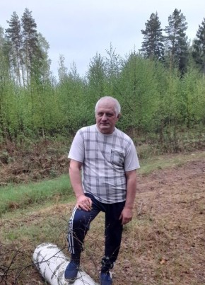 Вася, 58, Россия, Владимир