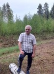 Вася, 58 лет, Владимир