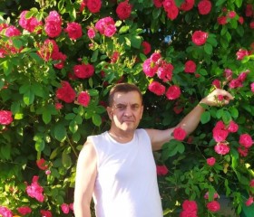 Aleksandr, 60, Moscow