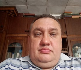 Святозар, 43 года, Москва