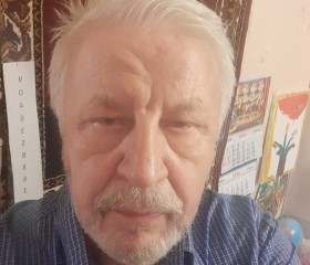 Georgiy, 75 лет, Санкт-Петербург