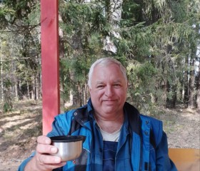 Gennadiy, 65, Zhukovskiy