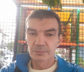 Кирилл, 43 года, Краснодар