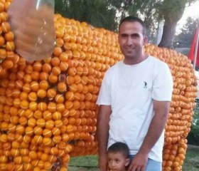yasin Uygur, 34 года, San Jose