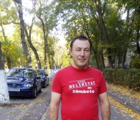 Hodiș, 36 лет, Oradea