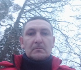 Николай, 42 года, Апрелевка