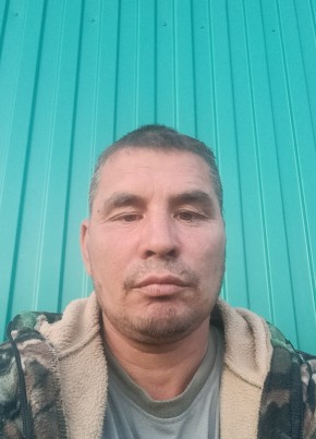 Николай, 43, Россия, Пугачев