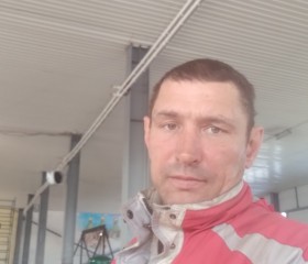 Дмитрий, 45 лет, Puşkin