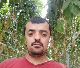 Абдулло, 26 лет, Кашира