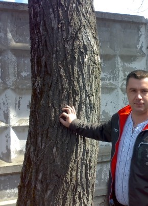 sergey, 48, Russia, Uzlovaya