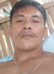 Aldrin Fortun, 42 года, Bayawan