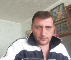 николай, 44 года, Тамбов