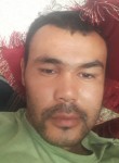 Шурат, 36 лет, Бишкек