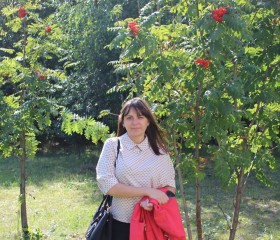 Екатерина, 41 год, Рязань