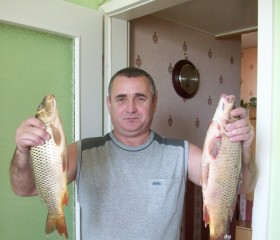 Александр, 59 лет, Волгоград