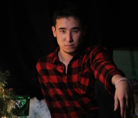Bek Aliev, 25 лет, Бишкек