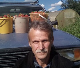 Владимир Кривов, 57 лет, Коноша