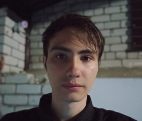Андрей, 20 лет, Архангельск