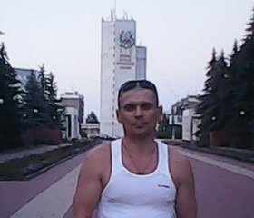 Роман, 46 лет, Курск
