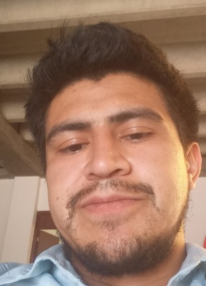 Luis из Irapuato 28 лет
