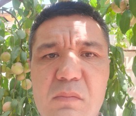 Muzaffar husanov, 42 года, Marg`ilon