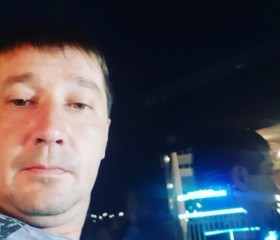 Роман, 42 года, Казань