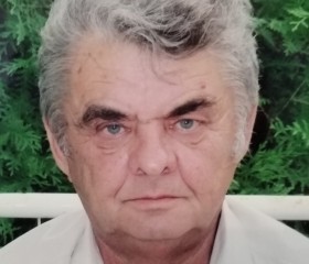 Валерий, 73 года, Берасьце