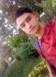 Ali, 19 лет, زنجان
