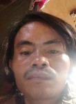 tomi, 29 лет, Kota Padang