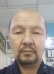 Дуйсен, 65 лет, Алматы