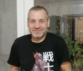 Владимир, 48 лет, Воронеж