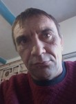 Андрей, 43 года, Ленинградская