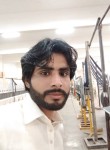 Dastgir, 33 года, کراچی