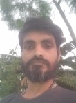 Rafi, 34 года, Chennai