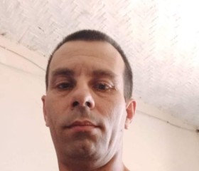 Sebastião Lucian, 44 года, Viçosa (Minas Gerais)
